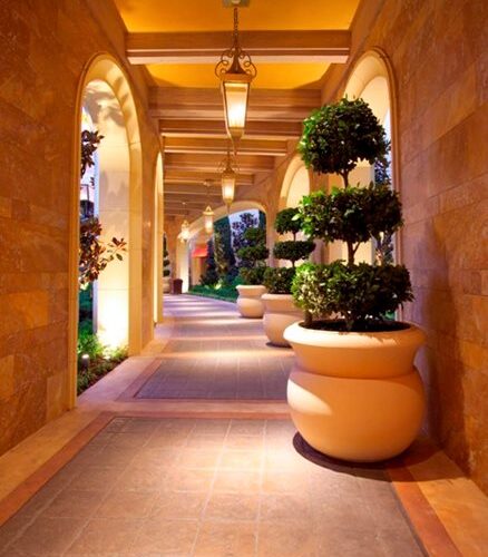 solomon-colors_11623